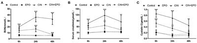 Erythropoietin Attenuates Experimental Contrast-Induced Nephrology: A Role for the Janus Kinase 2/Signal Transducer and Activator of Transcription 3 Signaling Pathway